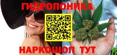 прущие крисы Свободный